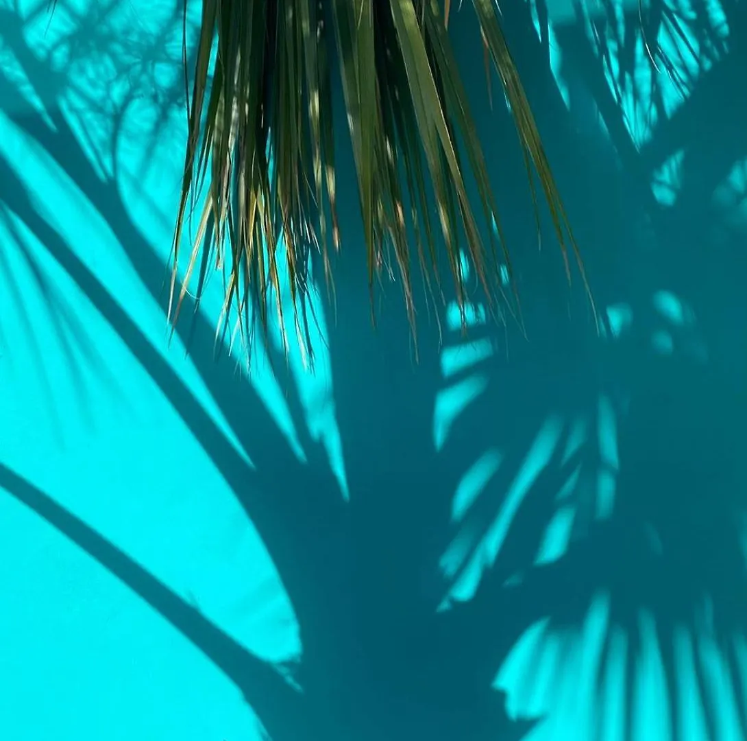 Casa En Tulum Villa